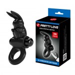   Exciting ring      , BI-210245