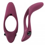   Pure Passion Stardust , 1304-02