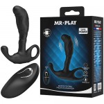 ������������ �������� � ������� ��, BI-040198W