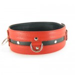    -   XL 55002xlars